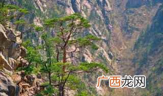 泉州清源山海拔498米 泉州清源山海拔多少米
