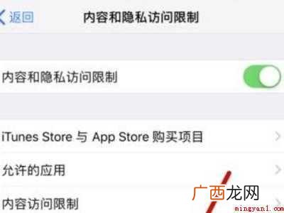 iphone 12下解决苹果账号灰色的具体操作步骤 苹果账号灰色点不了怎么回事