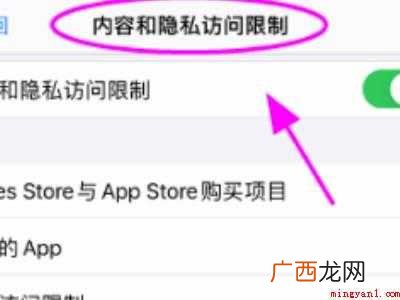 iphone 12下解决苹果账号灰色的具体操作步骤 苹果账号灰色点不了怎么回事
