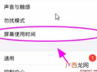 iphone 12下解决苹果账号灰色的具体操作步骤 苹果账号灰色点不了怎么回事