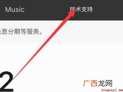 苹果手机一直亮屏死机怎么办