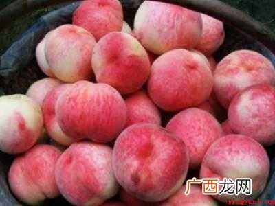 桃怎么保存的时间长的具体操作步骤 桃怎么保存的时间长