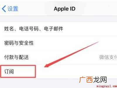 苹果手机怎么管理自动续费app