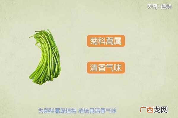 芦蒿适合与哪些食物进行搭配 芦蒿的功效与作用