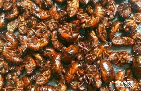 蝉蛹冻了怎么做好吃