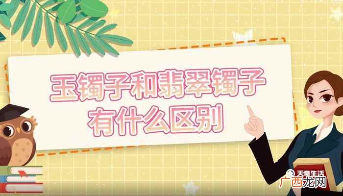 玉镯子和翡翠镯子有什么区别 玉镯子和翡翠镯子的区别