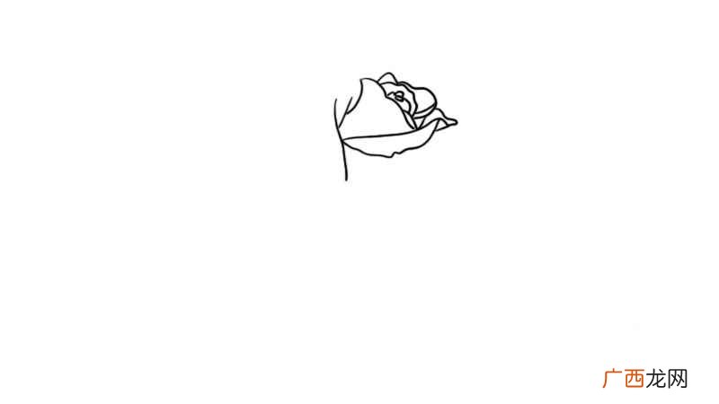 玫瑰花简笔画 玫瑰花的画法