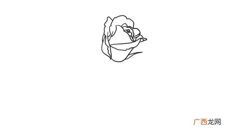 玫瑰花简笔画 玫瑰花的画法