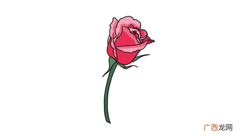 玫瑰花简笔画 玫瑰花的画法