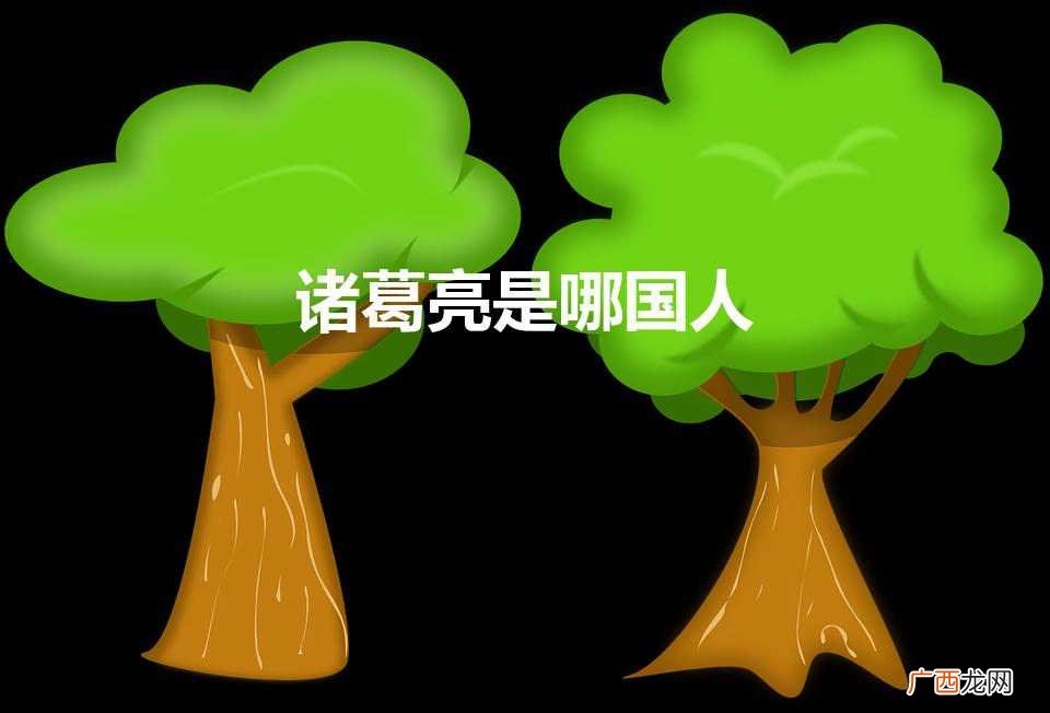 诸葛亮是哪国人（诸葛亮是哪国的人)