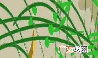 柳树醒了课文 柳树醒了课文朗读内容