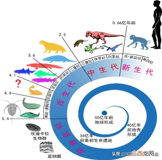 远古时代海洋巨兽排名前十 史前十大海洋巨兽排行榜