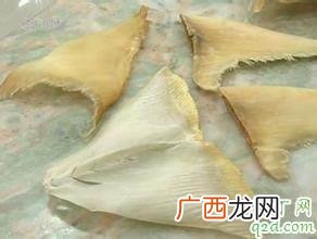 真假鱼翅真假怎么辨别 假鱼翅有什么危害