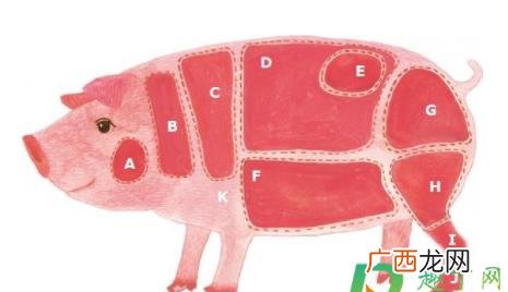怎么判断猪肉有没有瘦肉精 瘦肉精的猪肉怎么判断