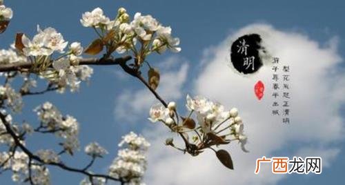 清明节上坟时间怎么规定 清明节上坟不能超过几点