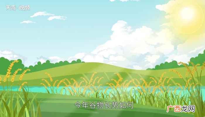 六月六看谷秀啥意思 六月六看谷秀的意思