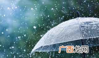 雨伞的英语:Umbrella 雨伞的英语怎么读