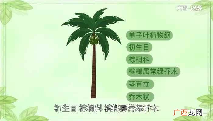 槟榔的功效与作用有哪些 槟榔的功效与作用危害