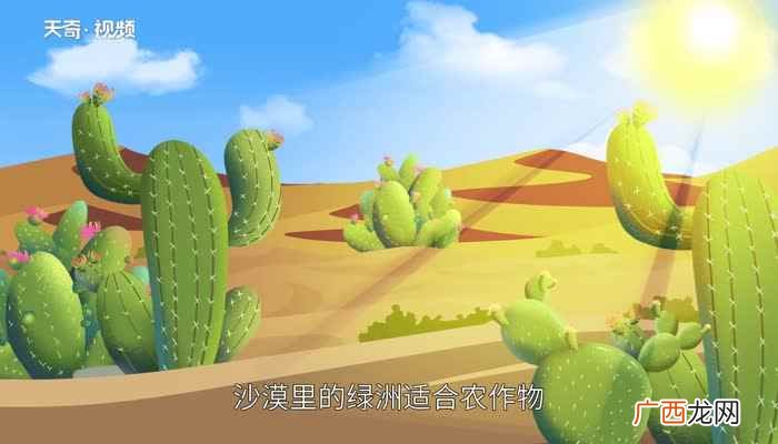 为什么沙漠里会有绿洲沙漠里的绿洲的寓意
