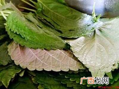 怎样做苏子叶咸菜的具体操作步骤 怎样做苏子叶咸菜