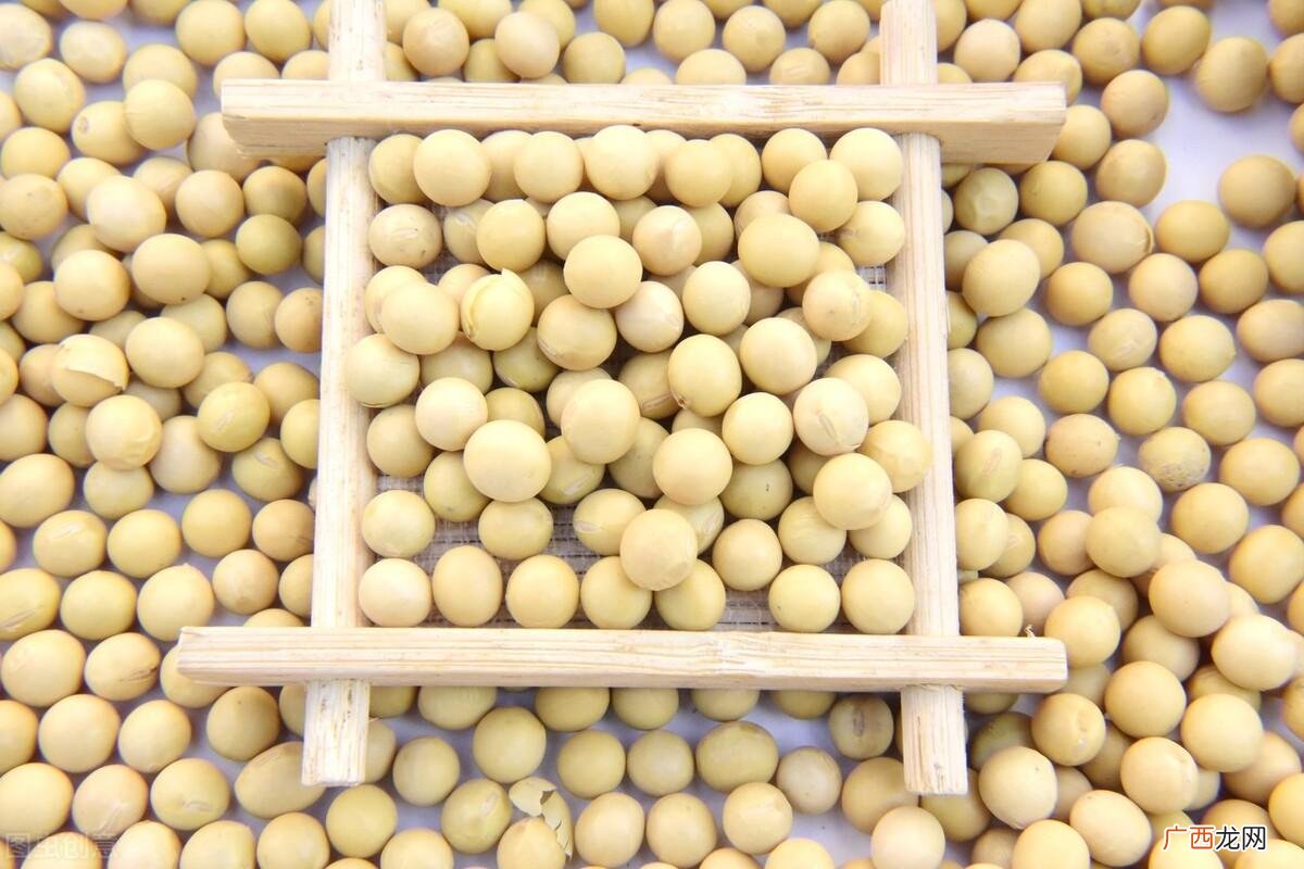 种植黄豆过程及注意事项 黄豆的最佳播种时间是几月份
