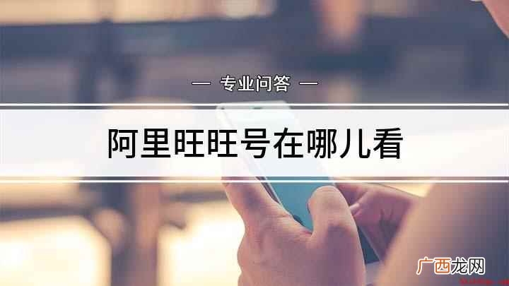淘宝旺旺号怎么看淘宝账户注销后重新申请新账户 阿里旺旺号在哪儿看