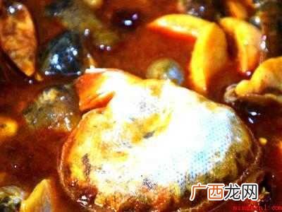 鲍螺怎么做好吃的具体操作步骤 鲍螺怎么做好吃
