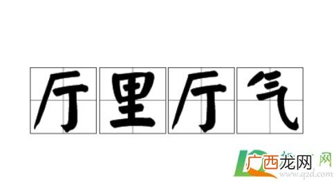 厅里厅气啥意思