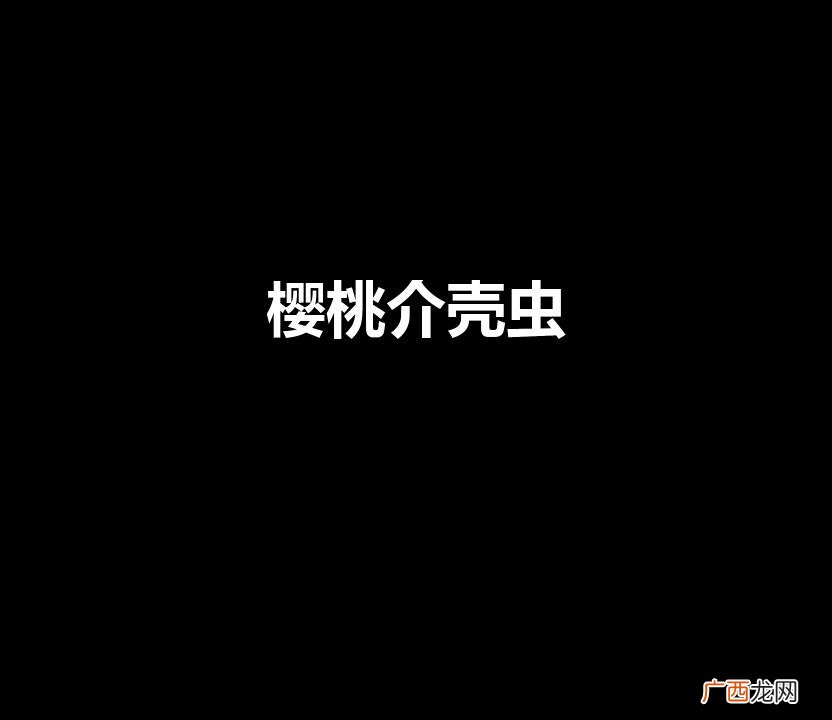 樱桃介壳虫（樱桃介壳虫用什么药)