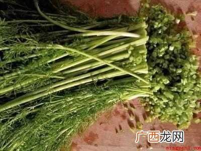 茴香肉馅怎么调好吃的具体操作步骤 茴香肉馅怎么调好吃
