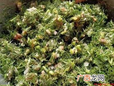 茴香肉馅怎么调好吃的具体操作步骤 茴香肉馅怎么调好吃