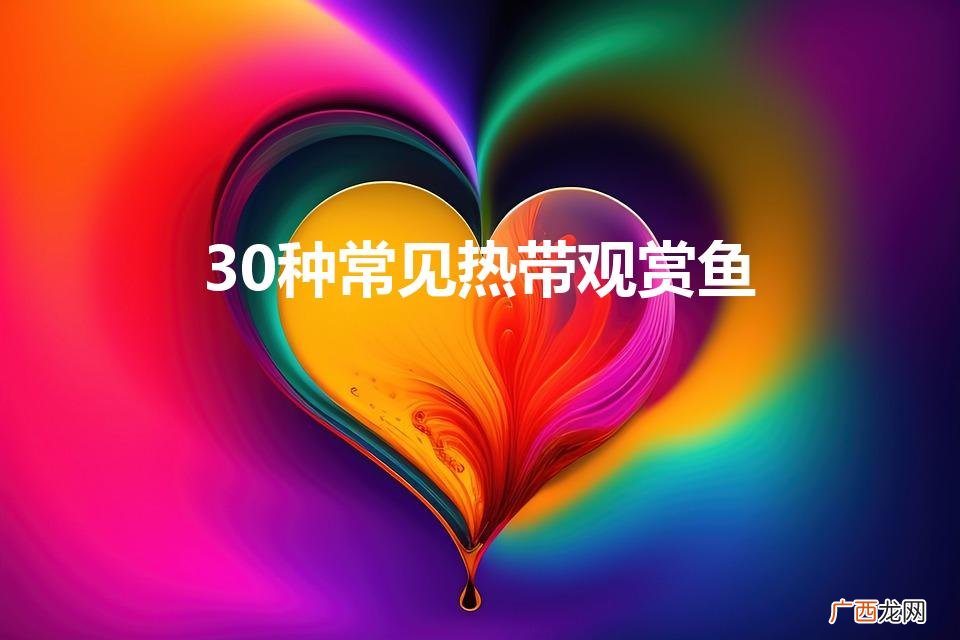 观赏热带鱼都有哪些种类 30种常见热带观赏鱼