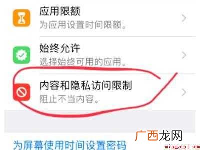 怎么隐藏应用苹果的具体操作步骤 怎么隐藏应用苹果