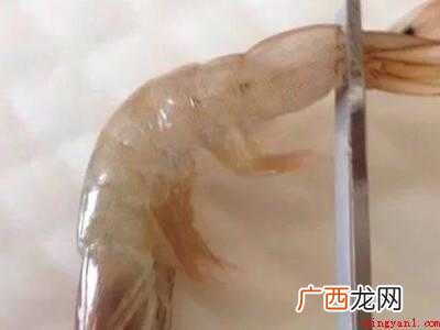 虾如何开背去虾线的具体操作步骤 虾如何开背去虾线
