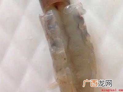 虾如何开背去虾线的具体操作步骤 虾如何开背去虾线