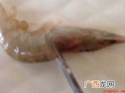 虾如何开背去虾线的具体操作步骤 虾如何开背去虾线