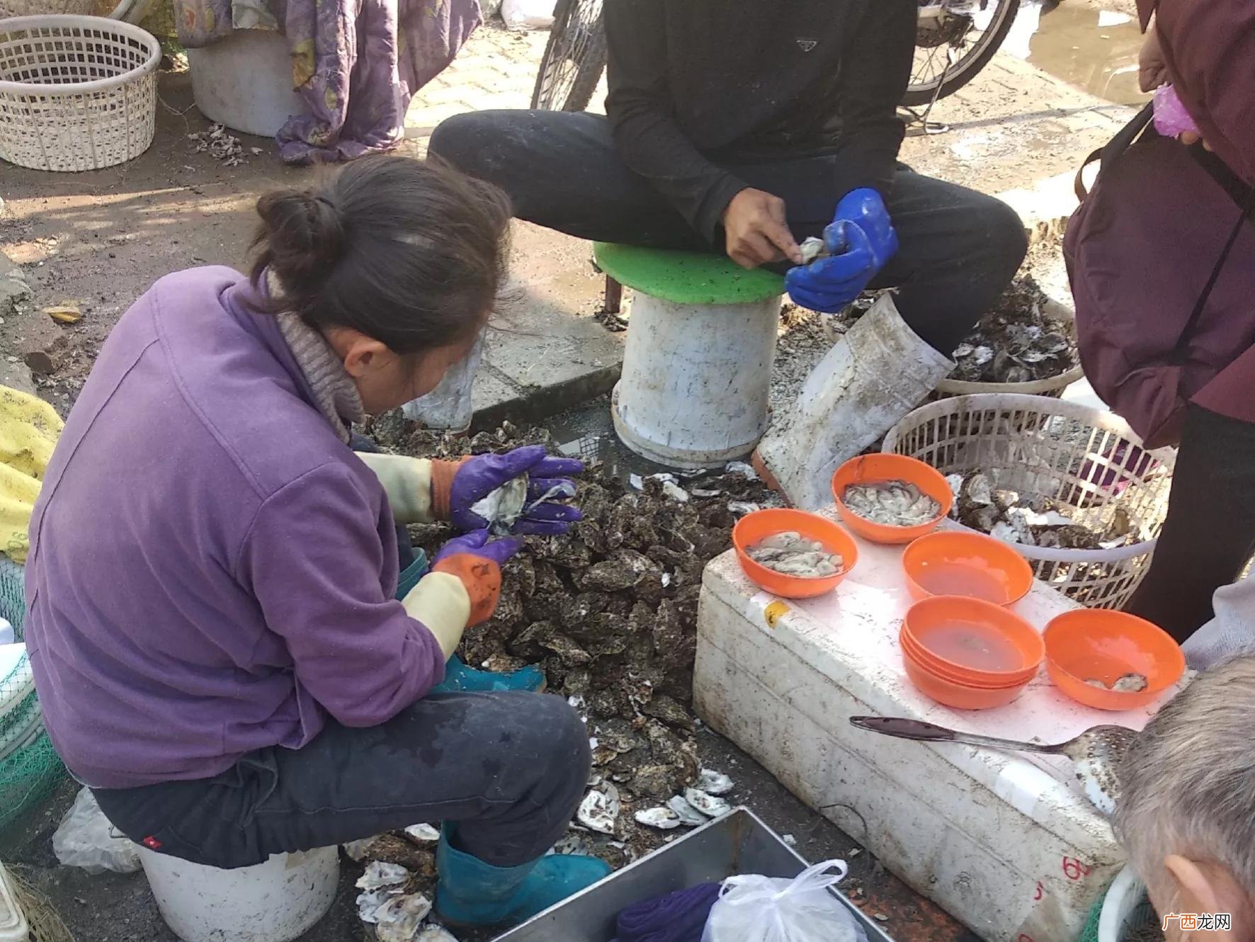 市场上海蛎子和生蚝是一种东西吗 海蛎子和生蚝的区别