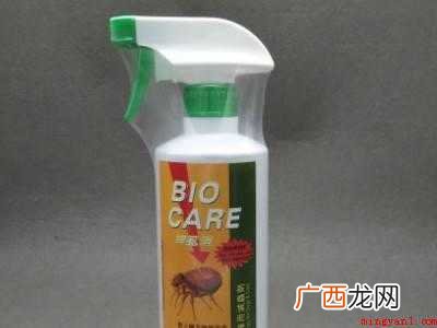 车里有跳蚤怎么去除的具体操作步骤 车里有跳蚤怎么去除