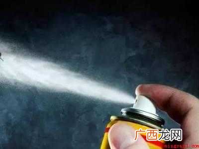 车里有跳蚤怎么去除的具体操作步骤 车里有跳蚤怎么去除