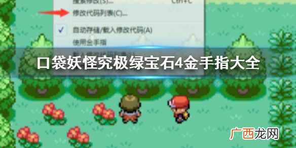 悟饭游戏厅口袋妖怪究极绿宝石4怎么用 悟饭游戏厅口袋妖怪究极绿宝石4金手指大全