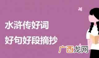 2019水浒传好词整理 水浒传好词好句好段摘抄大全