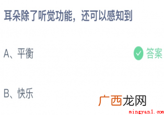 蚂蚁庄园3月22日答案：耳朵除了听觉功能还可以感知到什么