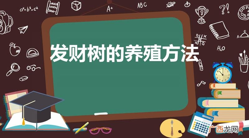 发财树怎么养殖 发财树的养殖方法