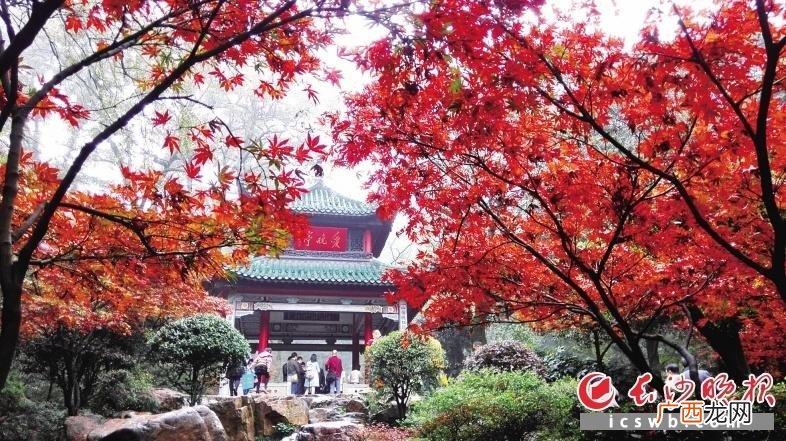 爱晚亭始建于哪个朝代 湖南长沙岳麓山的亭子叫什么
