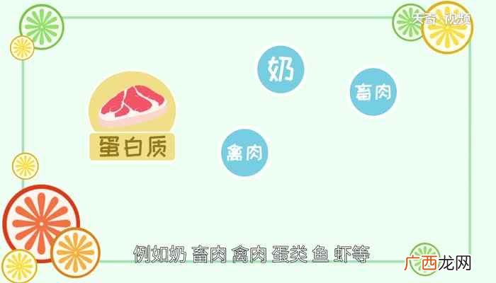 蛋白质含量高的食物有哪些呢 蛋白质含量高的食物有哪些