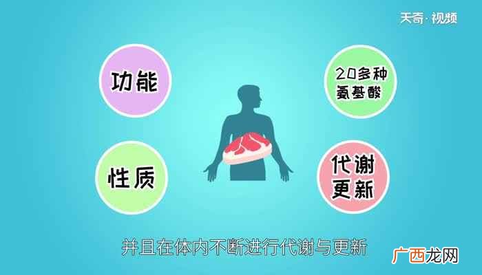 蛋白质含量高的食物有哪些呢 蛋白质含量高的食物有哪些