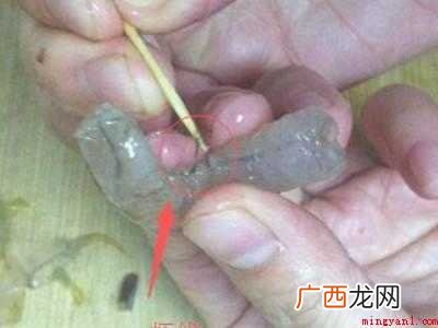 怎么挑虾线的正确做法的具体操作步骤 怎么挑虾线的正确做法