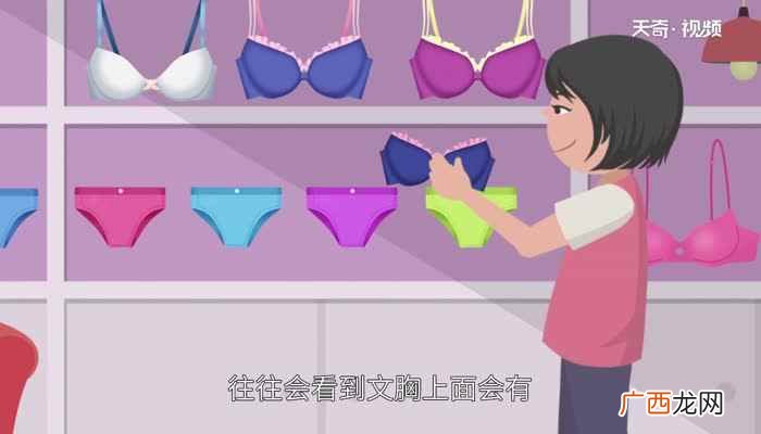文胸尺码与胸围之间有什么关系 内衣尺码对照表