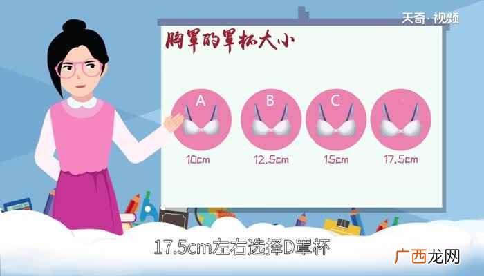 文胸尺码与胸围之间有什么关系 内衣尺码对照表