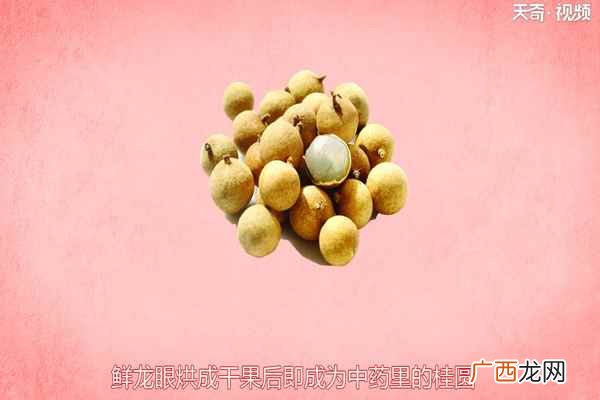龙眼还有哪些常见的做法 龙眼的营养价值
